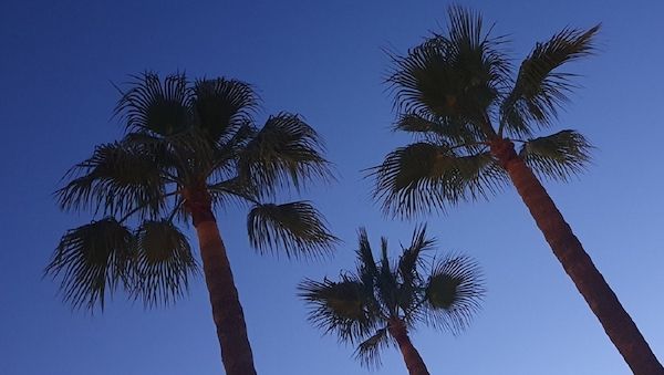 Experten - Was Reisende vor den Sommerferien wissen sollten