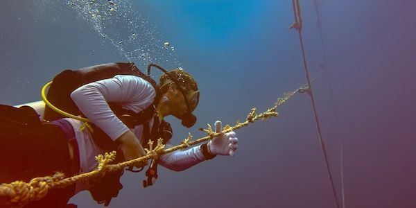 Das Nova Maldives setzt auf innovatives Umweltprojekt: „Floating Nursery“ im Korallen-Krankenhaus