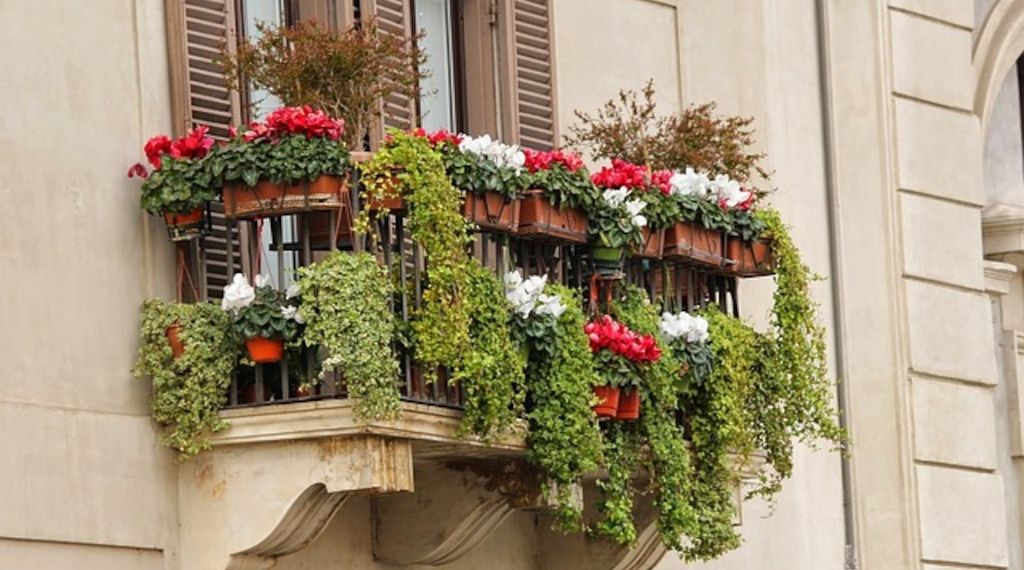 Experten mit Tipps zur Bewässerung von Balkon und Garten