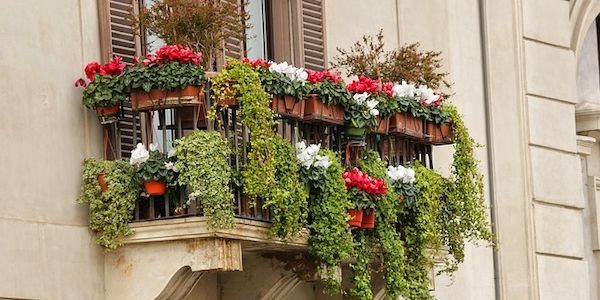 Experten mit Tipps zur Bewässerung von Balkon und Garten
