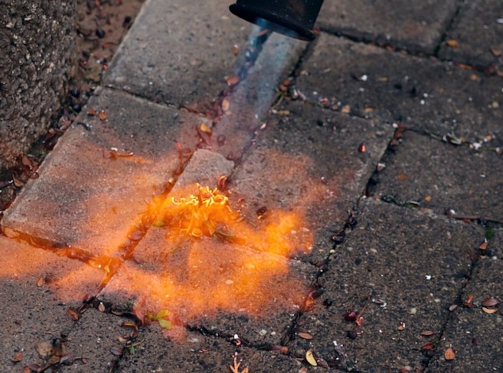 Experten über den richtigen Umgang mit Gasbrennern beim Unkrautjäten