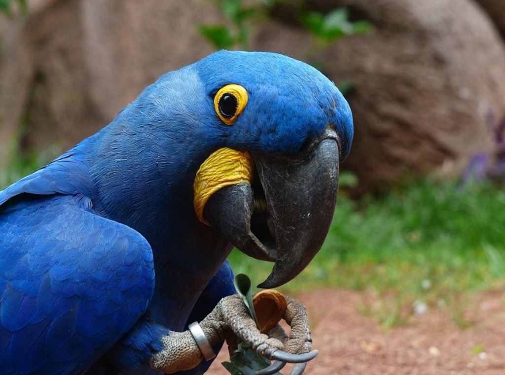 Experten: Warum man im Winter in den Zoo gehen sollte