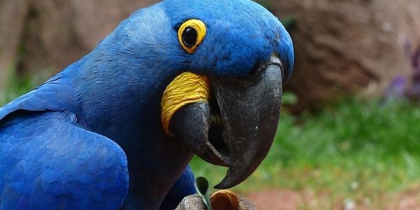 Experten: Warum man im Winter in den Zoo gehen sollte
