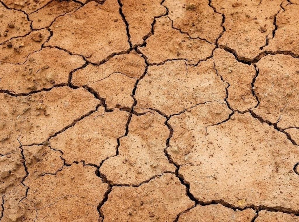 Myrto Naturkosmetik - Was hilft bei Schuppenflechte oder Psoriaris?