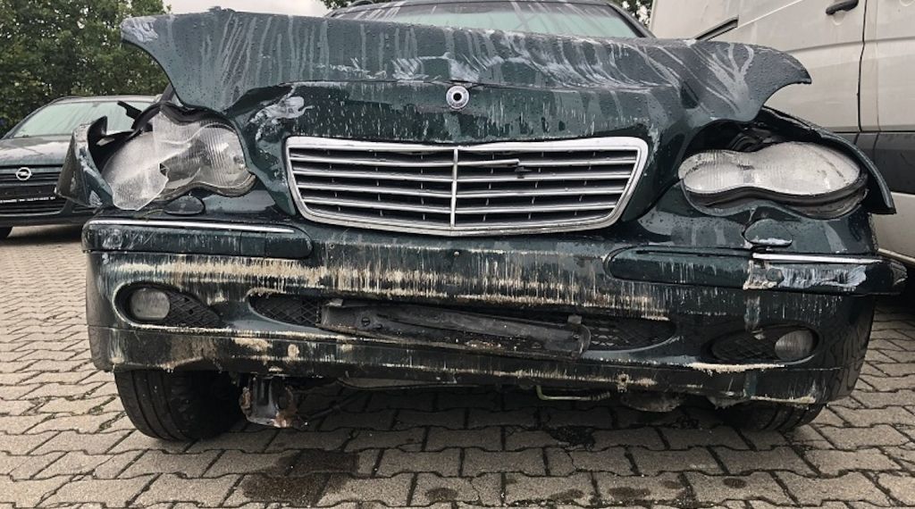 Unfälle mit Wildtieren - Darauf sollten Autofahrer achten