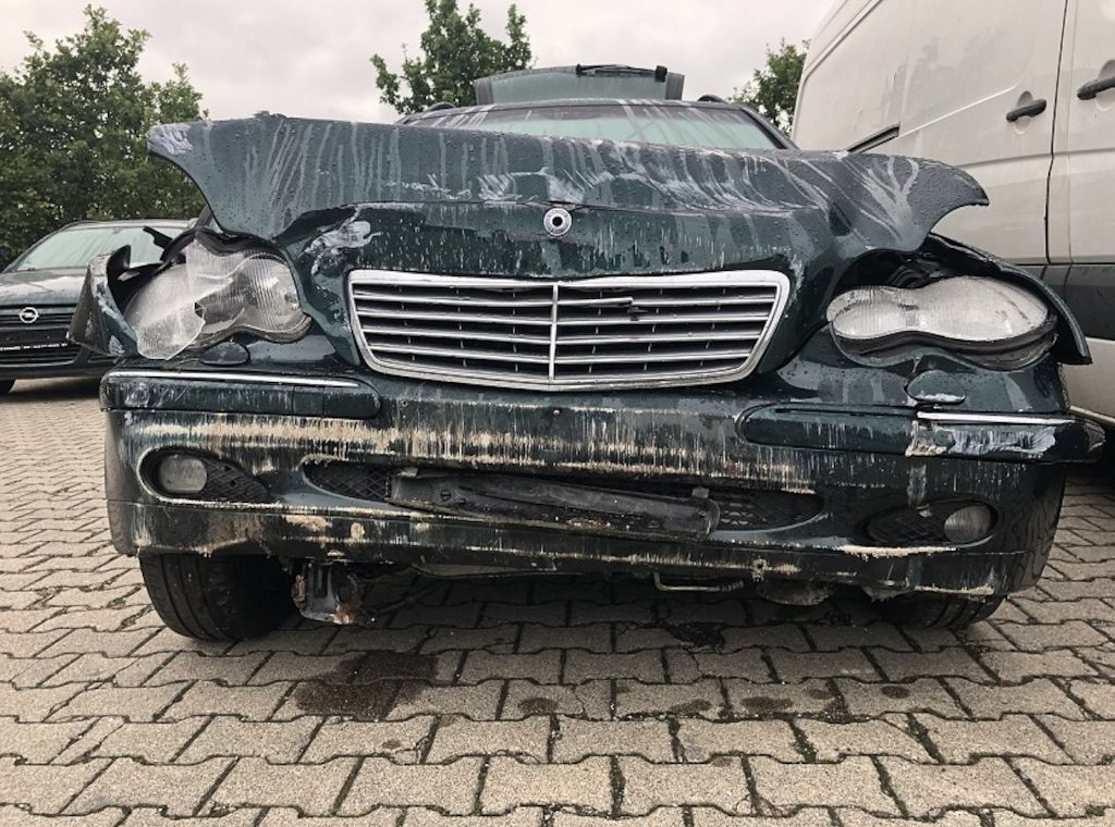 Unfälle mit Wildtieren - Darauf sollten Autofahrer achten