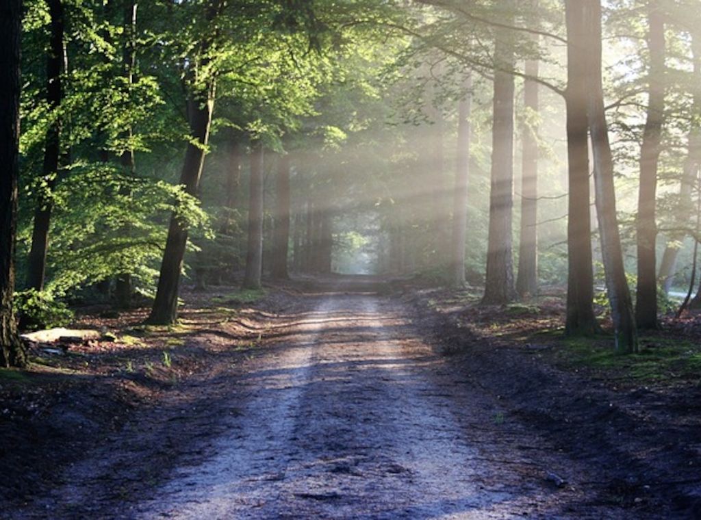 ARAG: Es gibt auch Wald Regeln - Die Waldtage vom 15. bis 17. September