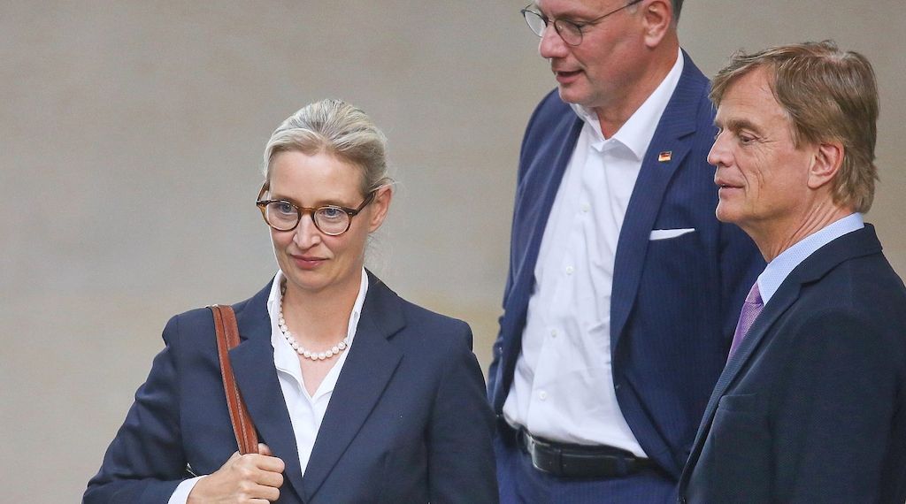 AfD prüft Verfassungsbeschwerde wegen "Verdachtsfall"-Einstufung