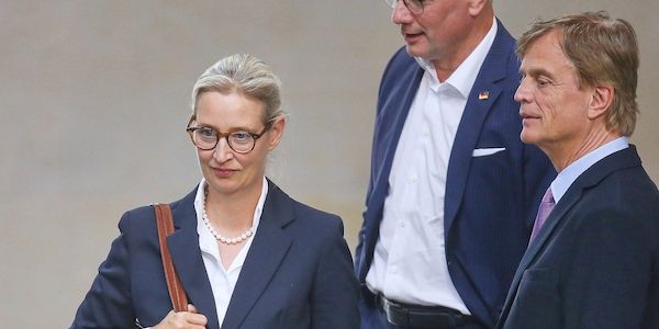 AfD prüft Verfassungsbeschwerde wegen "Verdachtsfall"-Einstufung