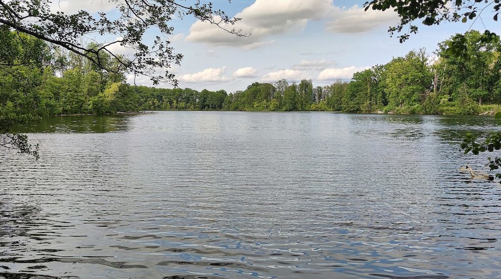 Machbarkeitsstudie zu sinkenden Wasserständen an Potsdamer Seen geplant