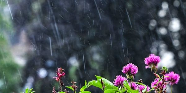 Wer auf Sonne hofft, braucht etwas Geduld