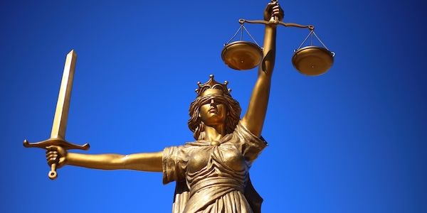 Cannabis legal 2025: Wie sich der Online-Handel durch die Gesetzesänderung verändert