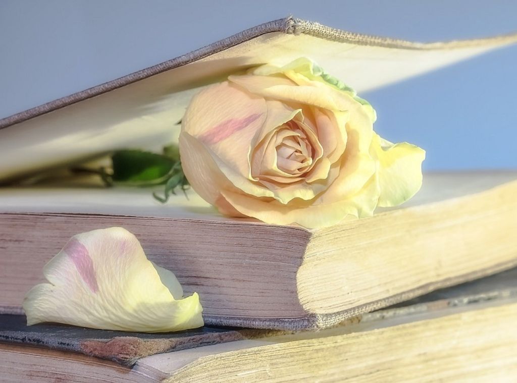 Experten über eine App, die eine Bücher-Liebe entfachen kann