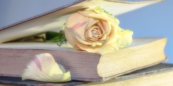 Experten über eine App, die eine Bücher-Liebe entfachen kann