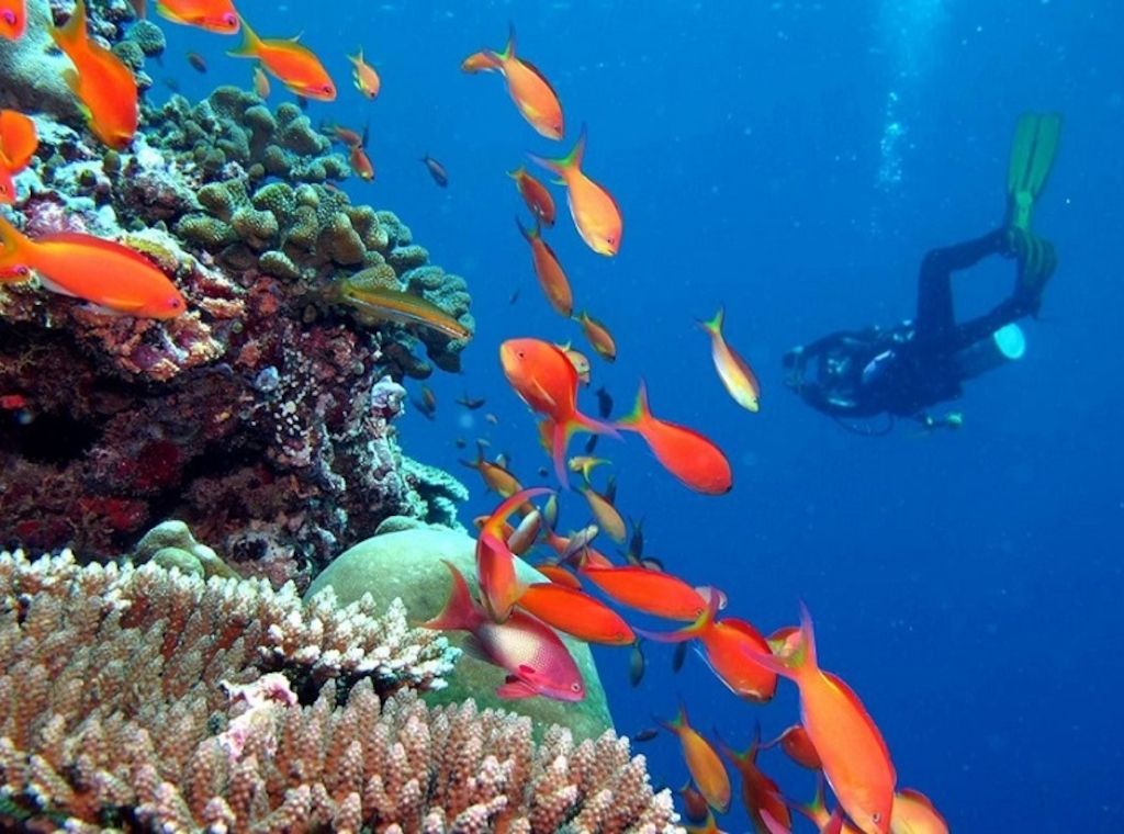 Mehr Sicherheit für Taucher im Kandima Maldives dank eigener Dekompressionskammer