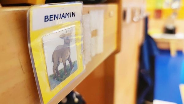Köln investiert Millionen in Kindertagespflege