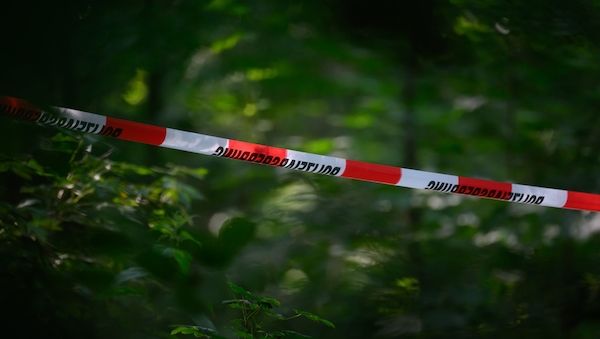 Vermisste 22-Jährige aus Luckenwalde tot im Wald gefunden