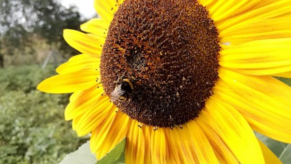 Wetterbericht für Nordrhein-Westfalen (14.08.2025)
