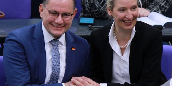AfD erreicht in Forsa-Umfrage neuen Rekordwert