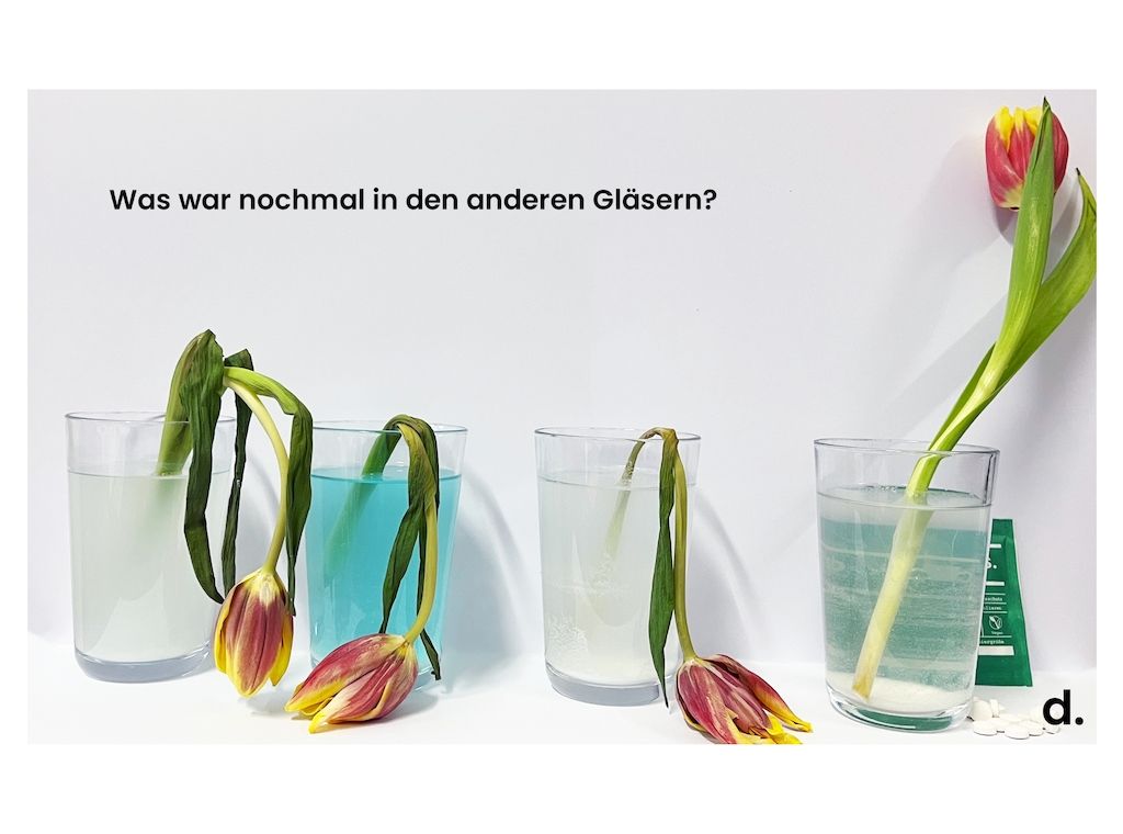 Ist Zahnpflege immer unbedenklich? Ein einfaches Experiment mit krasser Erkenntnis! 