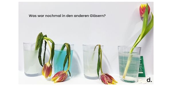 Ist Zahnpflege immer unbedenklich? Ein einfaches Experiment mit krasser Erkenntnis! 