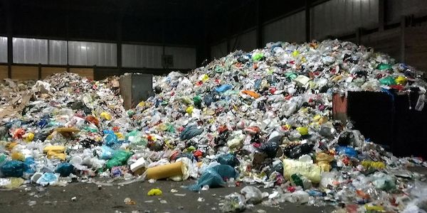 AfD fordert verstärkte Maßnahmen gegen illegale Müllentsorgung in Berlin