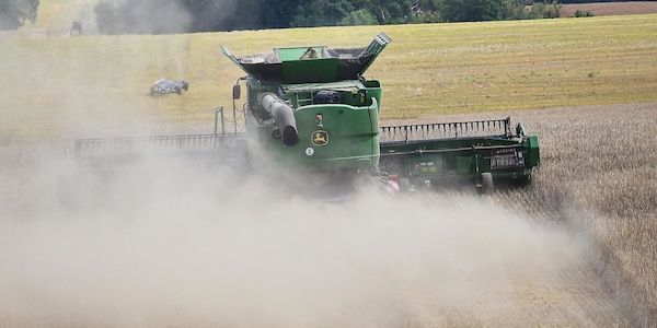 Brandenburgs Bauern erwarten höhere Getreideernte