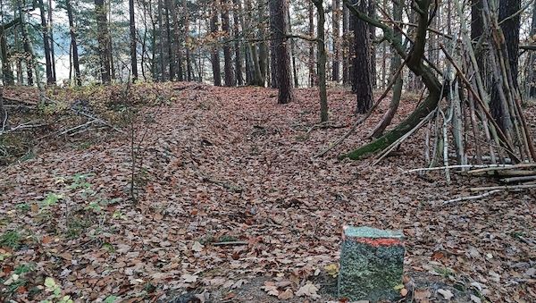 Stadtreinigung Hamburg führt neue Laubtonne ein