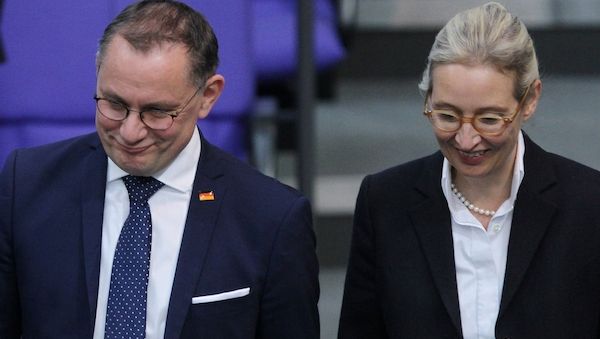 Forsa: AfD weiter auf Rekordniveau