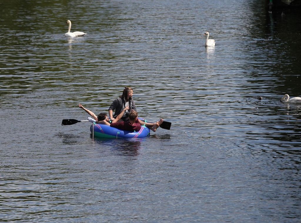Köln plant Badeverbot im Rhein nach tödlichen Unfällen