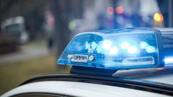 Nächtlicher Einbruch im Eberswalder Zoo