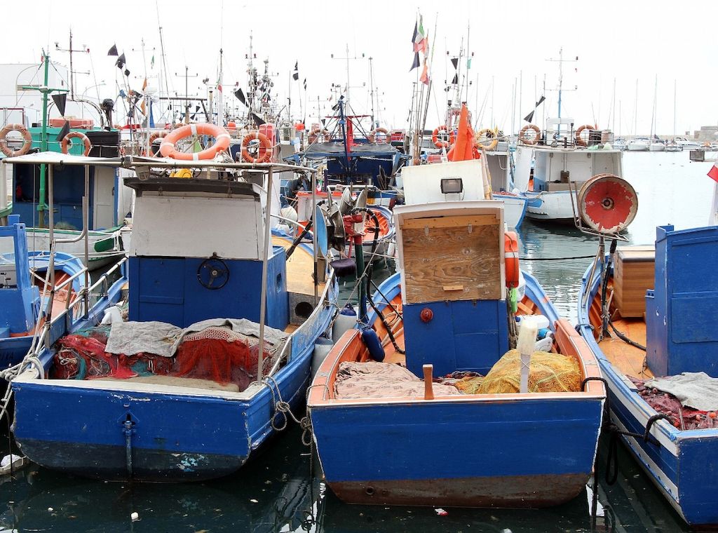 Bundesregierung will "fairen Kompromiss" bei Ostsee-Fischfangquoten