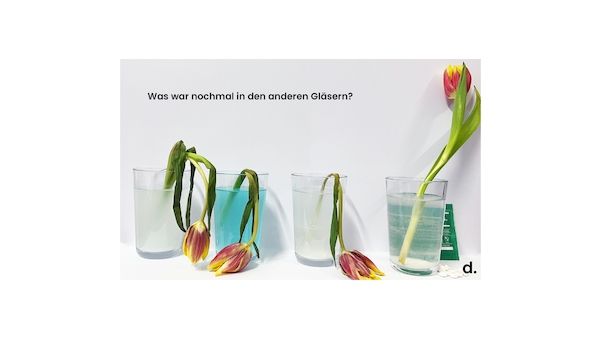 Ein einfaches Experiment mit klarer Aussage