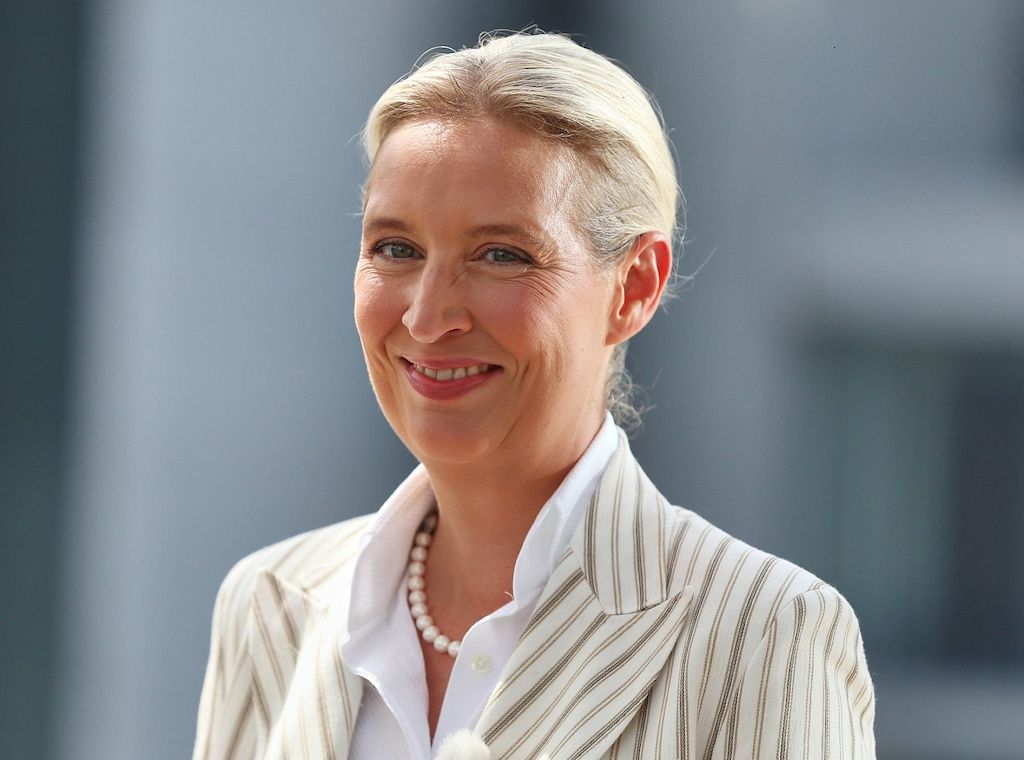 Insa: Wählerpotenzial der AfD steigt auf Rekordhoch