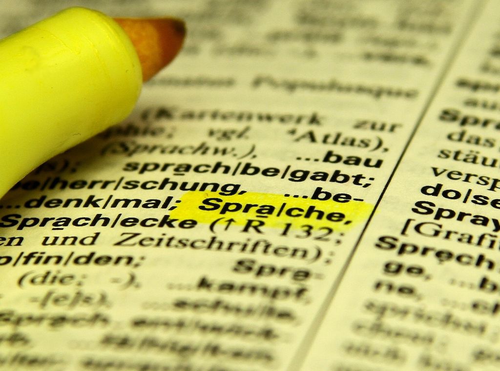 Studie zeigt stagnierende Literalität im deutschsprachigen Raum