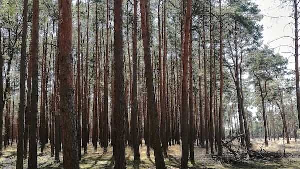 Flächenverbrauch in Nordrhein-Westfalen sorgt für Diskussionen