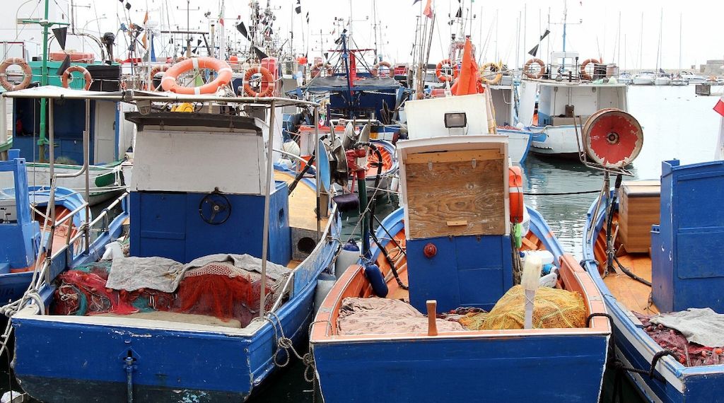 Bundesregierung will "fairen Kompromiss" bei Ostsee-Fischfangquoten