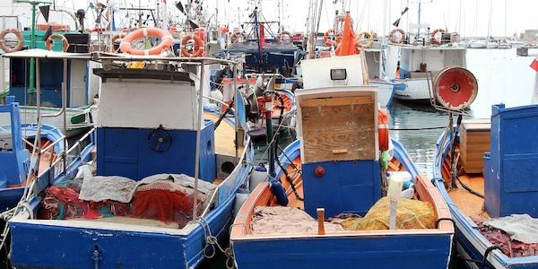 Bundesregierung will "fairen Kompromiss" bei Ostsee-Fischfangquoten