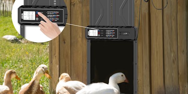 Automatische Hühnerklappe mit Solar und Akku – von Royal Gardineer
