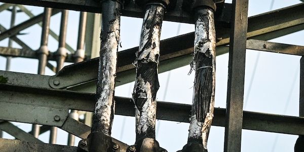 Berliner-Händler packen Tiefkühlkost nach Stromausfall in Kühllaster