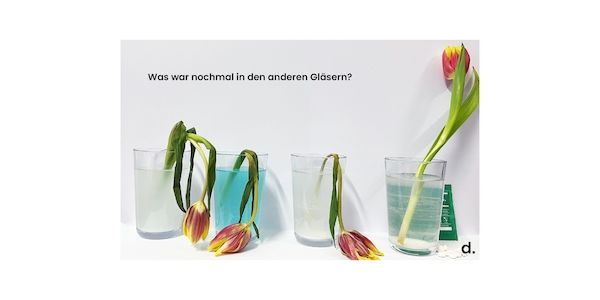 Ein einfaches Experiment mit klarer Aussage
