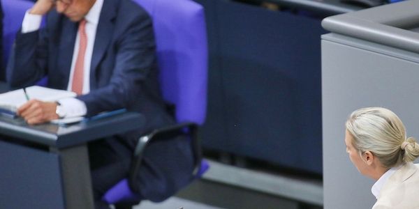 Forsa: AfD hält Rekordniveau - Merz rutscht auf Tiefstwert