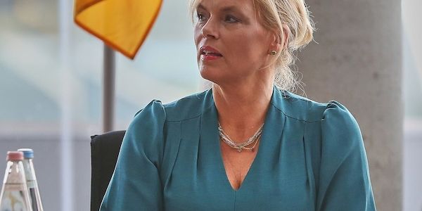 Lang nennt Klöckner "Polarisierungsunternehmerin"