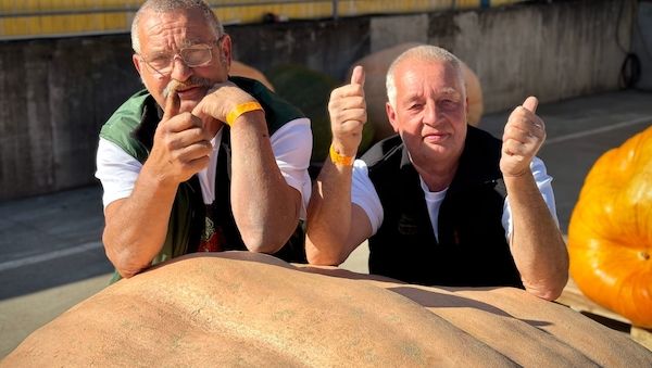 Premiere bei der Kürbis-Wiegemeisterschaft in Potsdam-Mittelmark