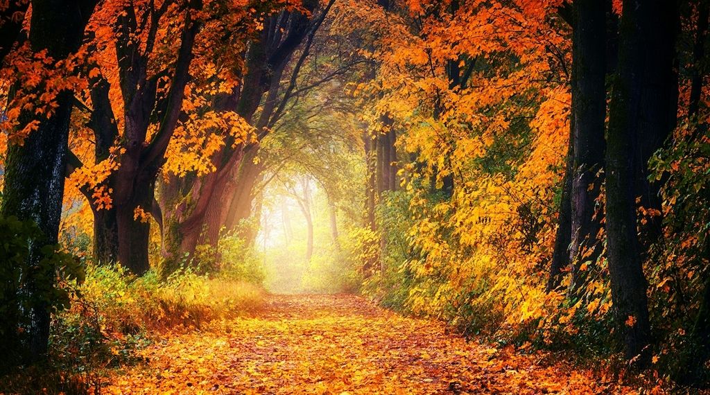 ARAG: Was ändert sich im Oktober?