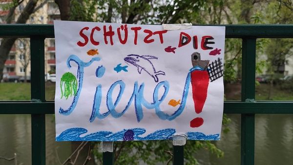 Hamburg schränkt Mähroboter-Nutzung zum Igelschutz ein