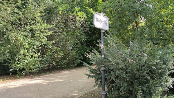 Grüne fordern vollständige Übernahme des Bäume-Plus-Gesetzes in Berlin