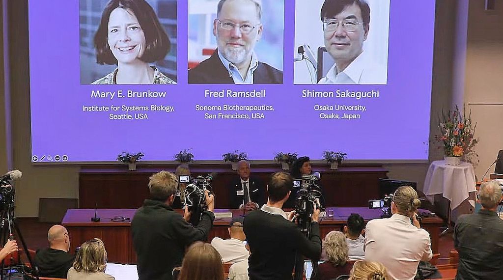 Medizinnobelpreis geht an drei Immunforscher
