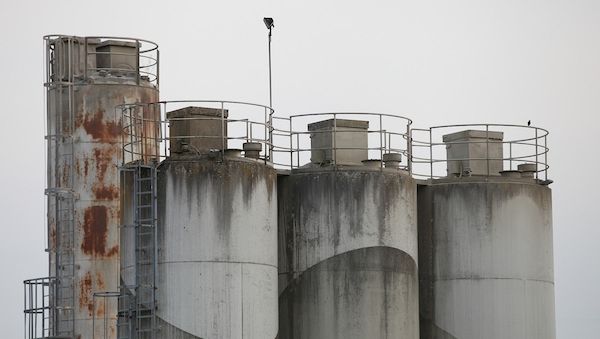 Wirtschaftsministerium startet Verfahren für Klimaschutzverträge