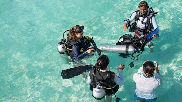 Nova Maldives lockt mit 30 Tauchspots   Entdecke die majestätischen Meeresbewohner des Süd Ari Atolls